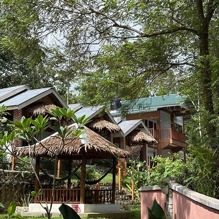 Asim Paris Guesthouse & Jungle Trekking Букит-Лаванг Экстерьер фото