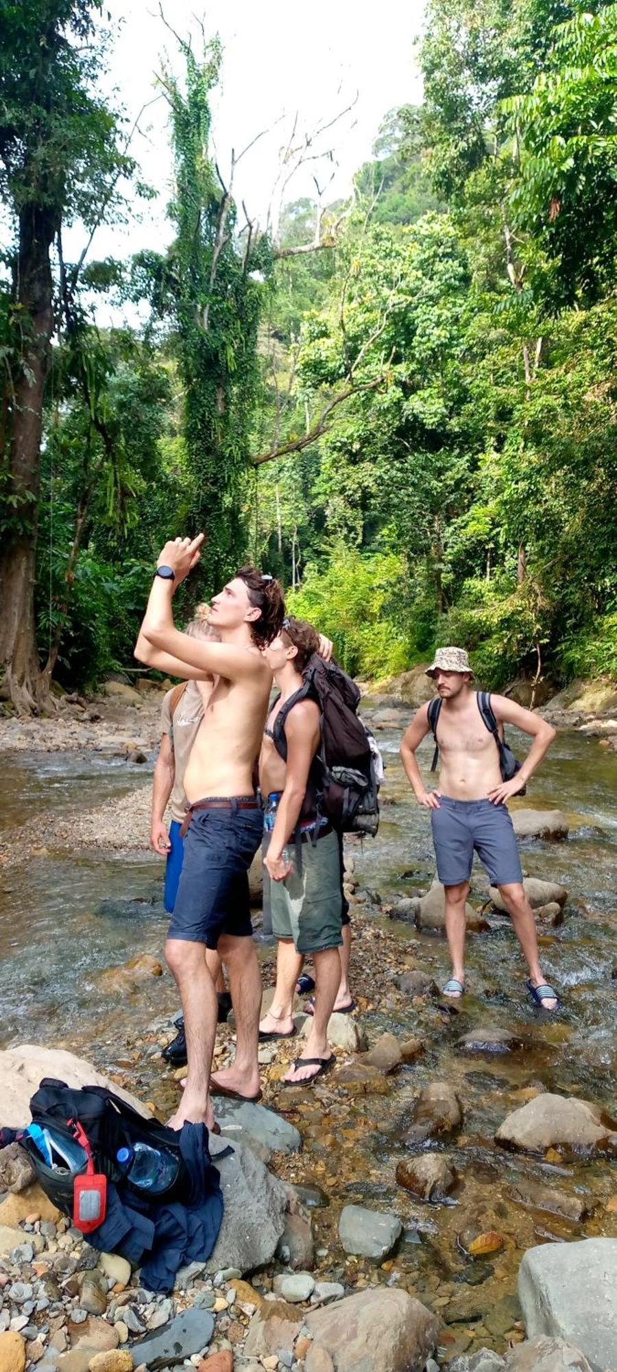 Asim Paris Guesthouse & Jungle Trekking Букит-Лаванг Экстерьер фото