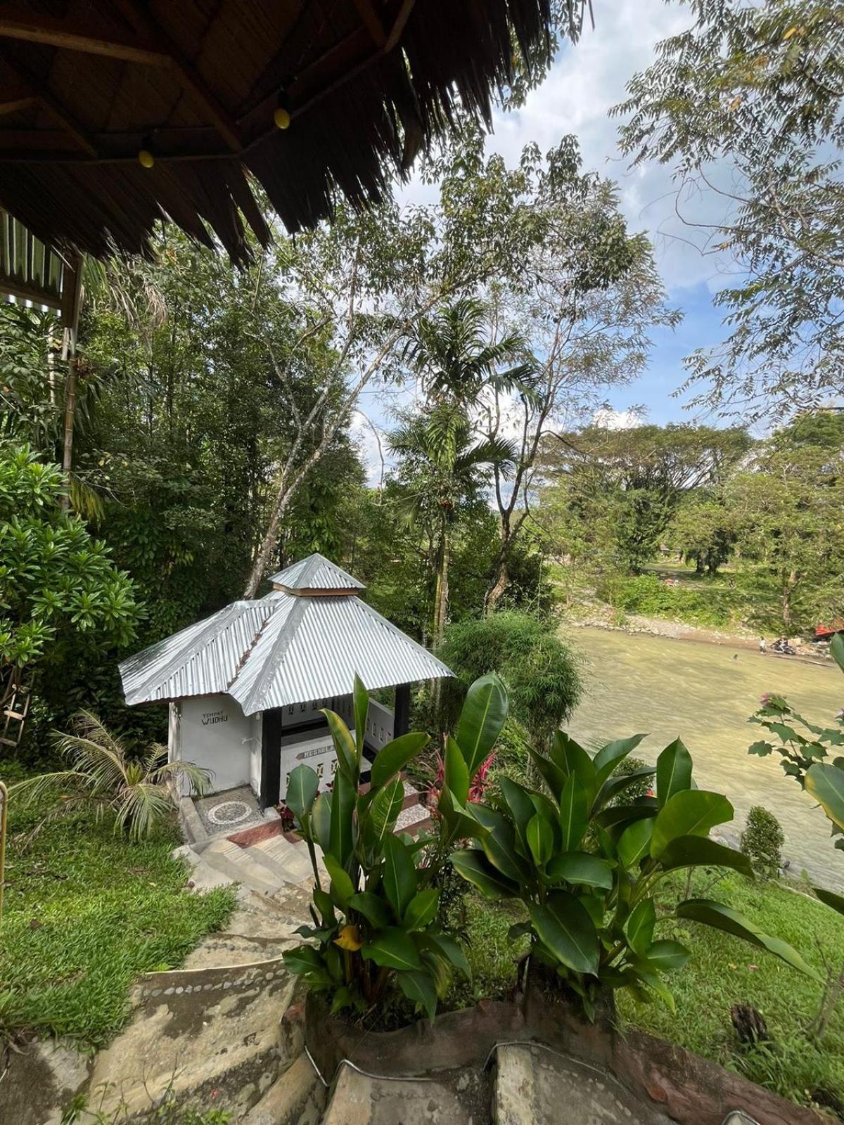 Asim Paris Guesthouse & Jungle Trekking Букит-Лаванг Экстерьер фото