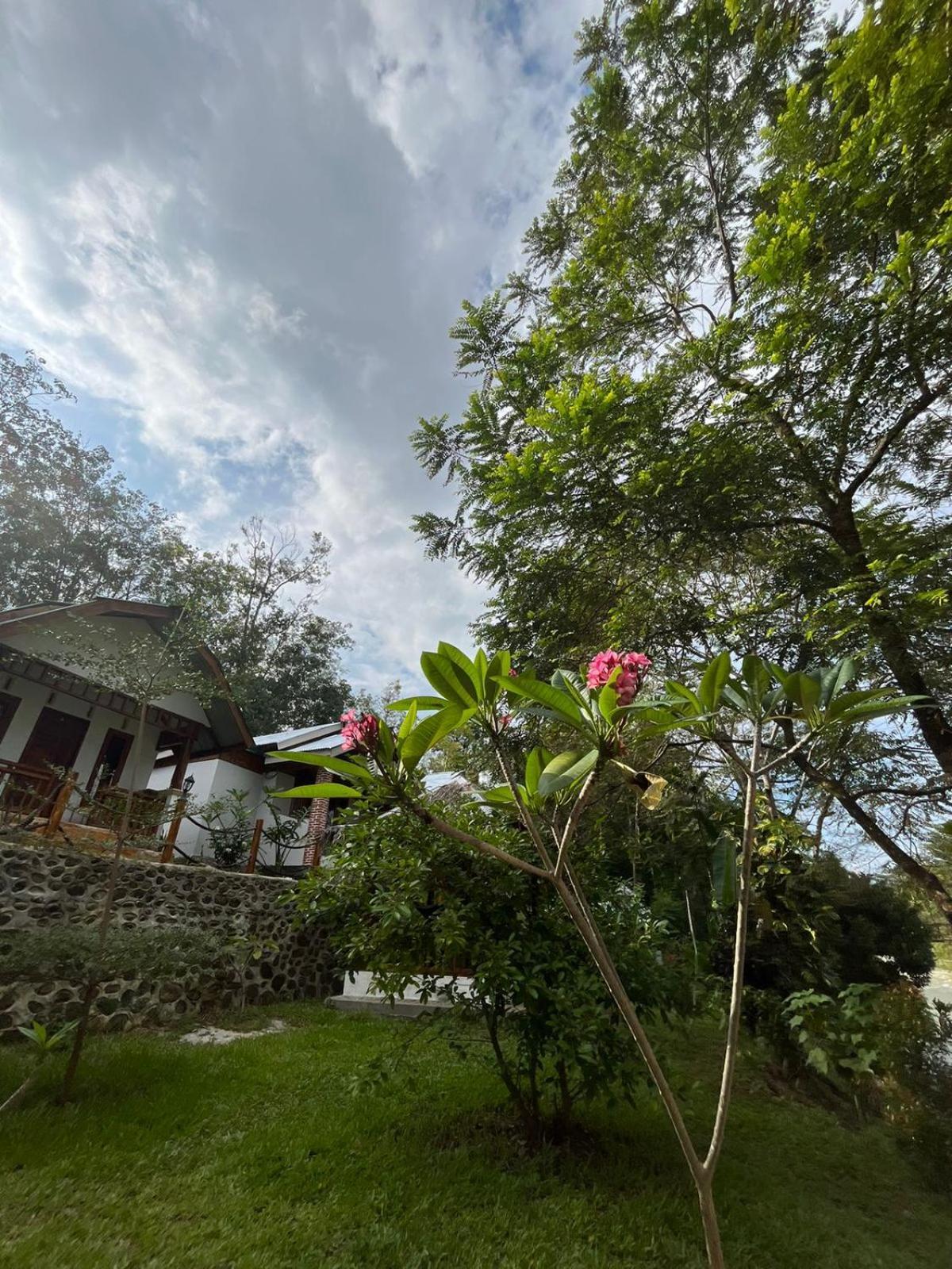 Asim Paris Guesthouse & Jungle Trekking Букит-Лаванг Экстерьер фото