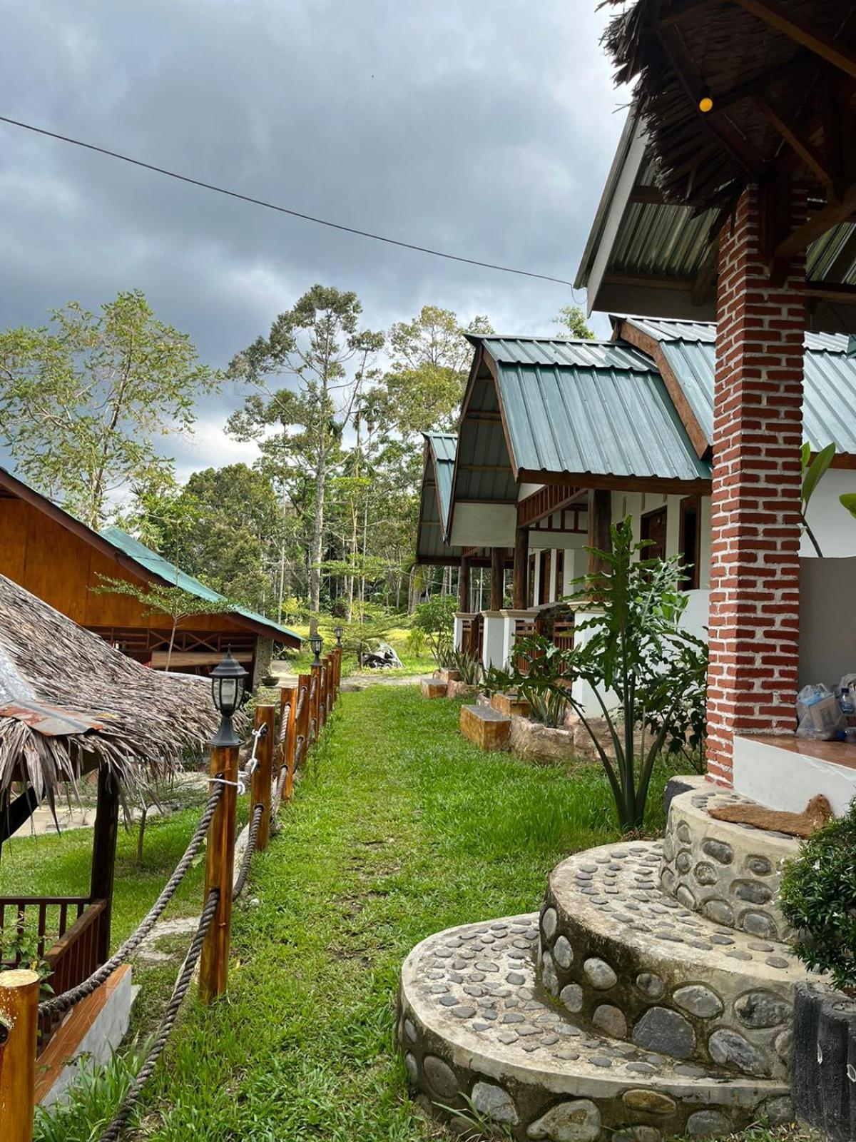 Asim Paris Guesthouse & Jungle Trekking Букит-Лаванг Экстерьер фото