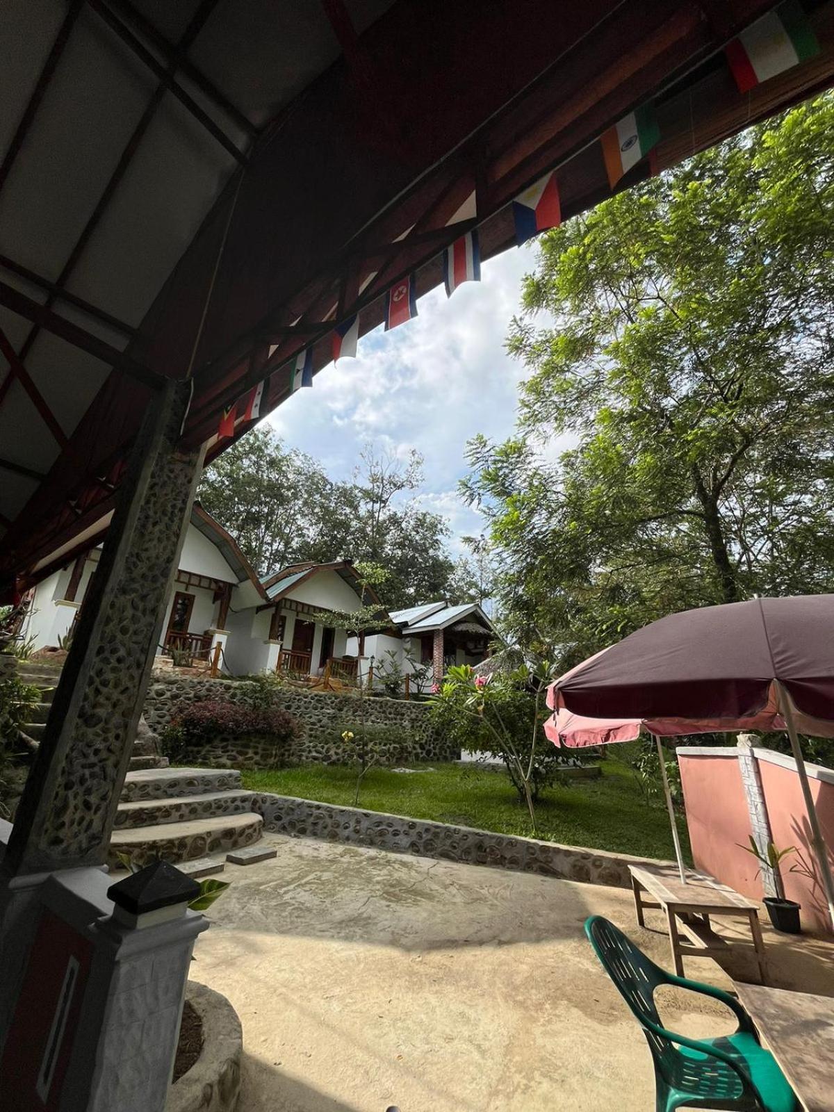 Asim Paris Guesthouse & Jungle Trekking Букит-Лаванг Экстерьер фото