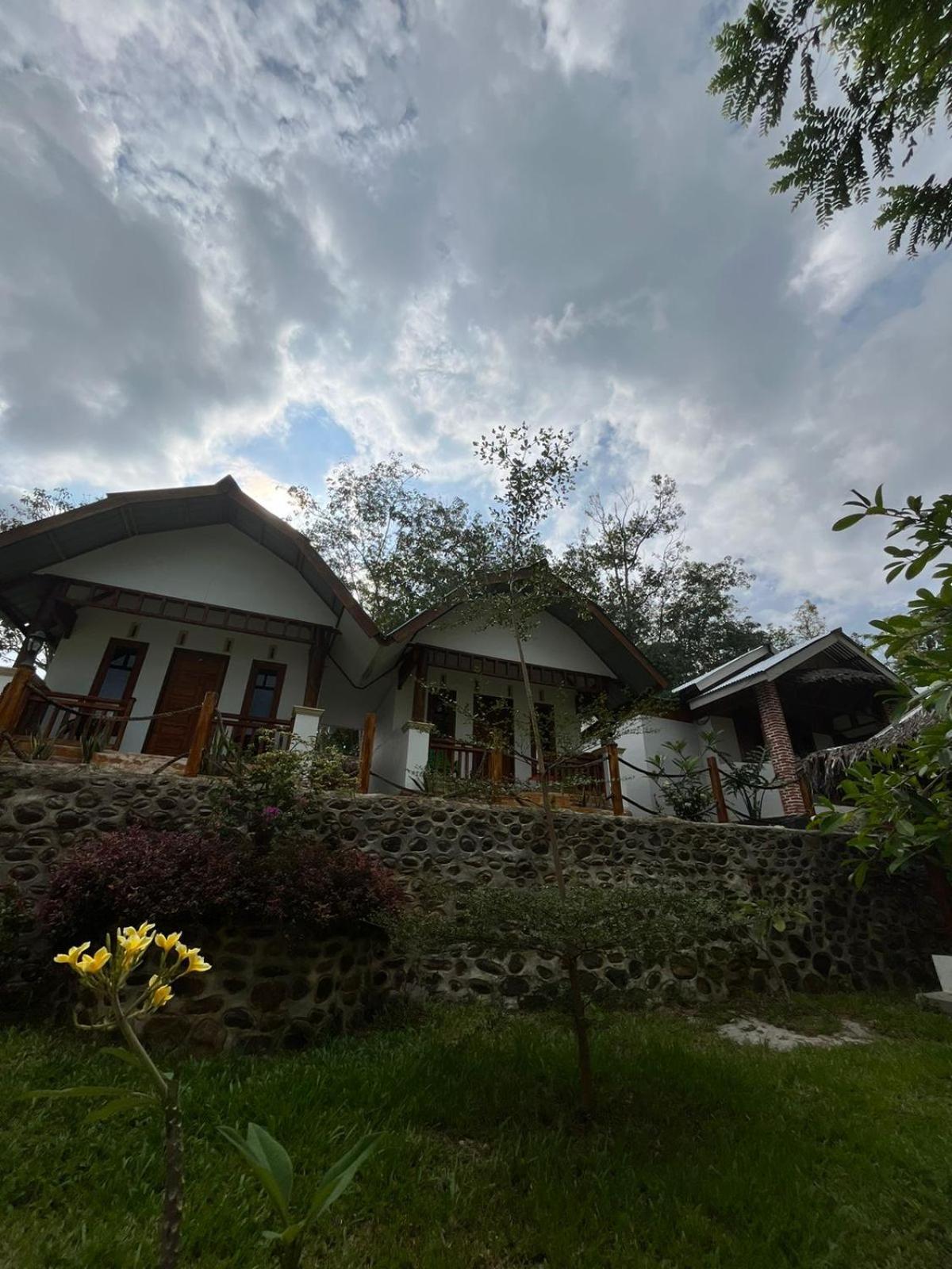 Asim Paris Guesthouse & Jungle Trekking Букит-Лаванг Экстерьер фото