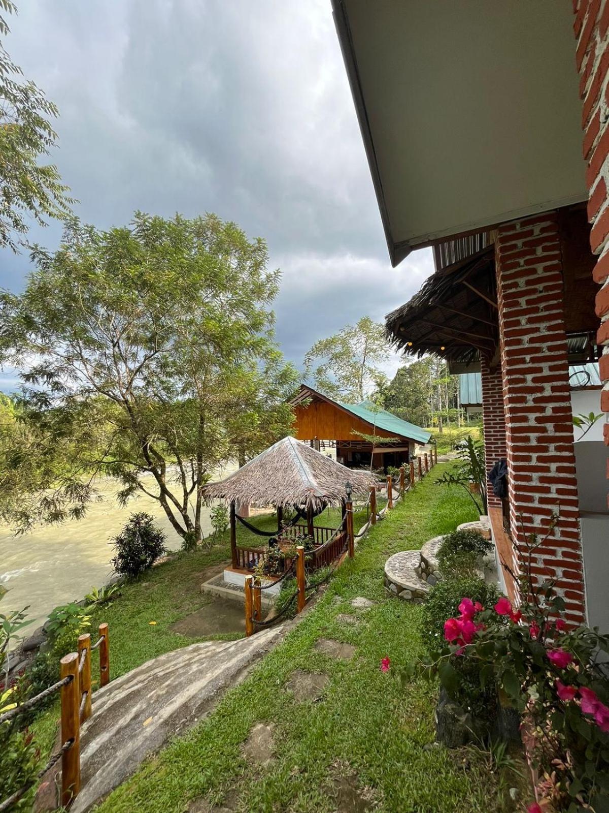 Asim Paris Guesthouse & Jungle Trekking Букит-Лаванг Экстерьер фото