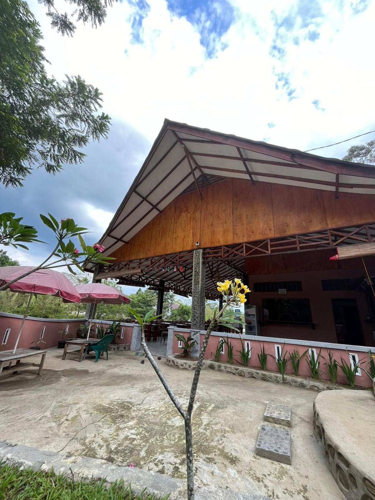 Asim Paris Guesthouse & Jungle Trekking Букит-Лаванг Экстерьер фото
