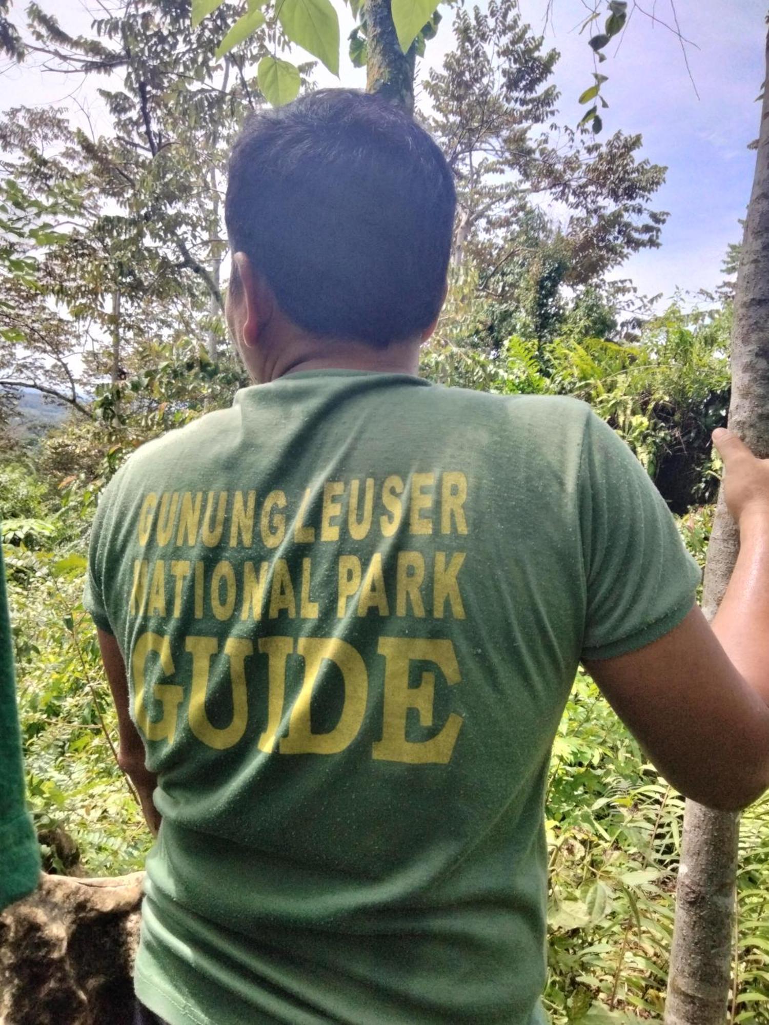 Asim Paris Guesthouse & Jungle Trekking Букит-Лаванг Экстерьер фото