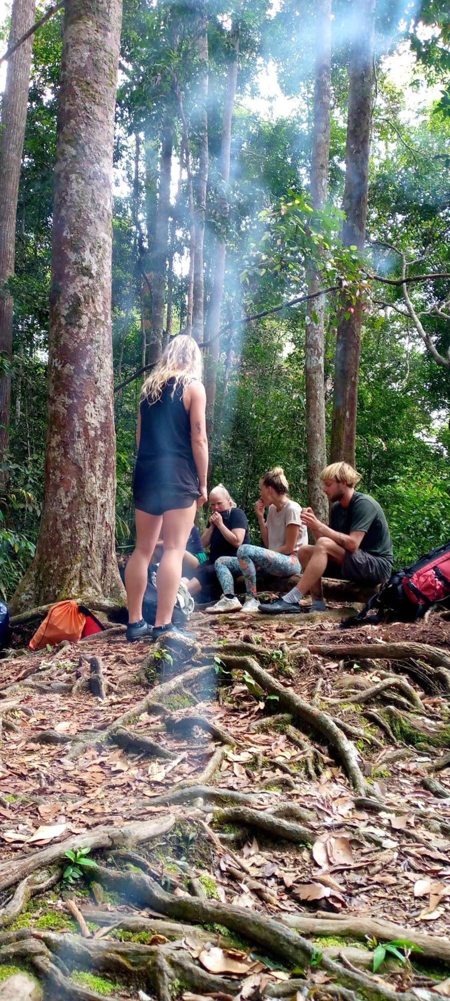 Asim Paris Guesthouse & Jungle Trekking Букит-Лаванг Экстерьер фото