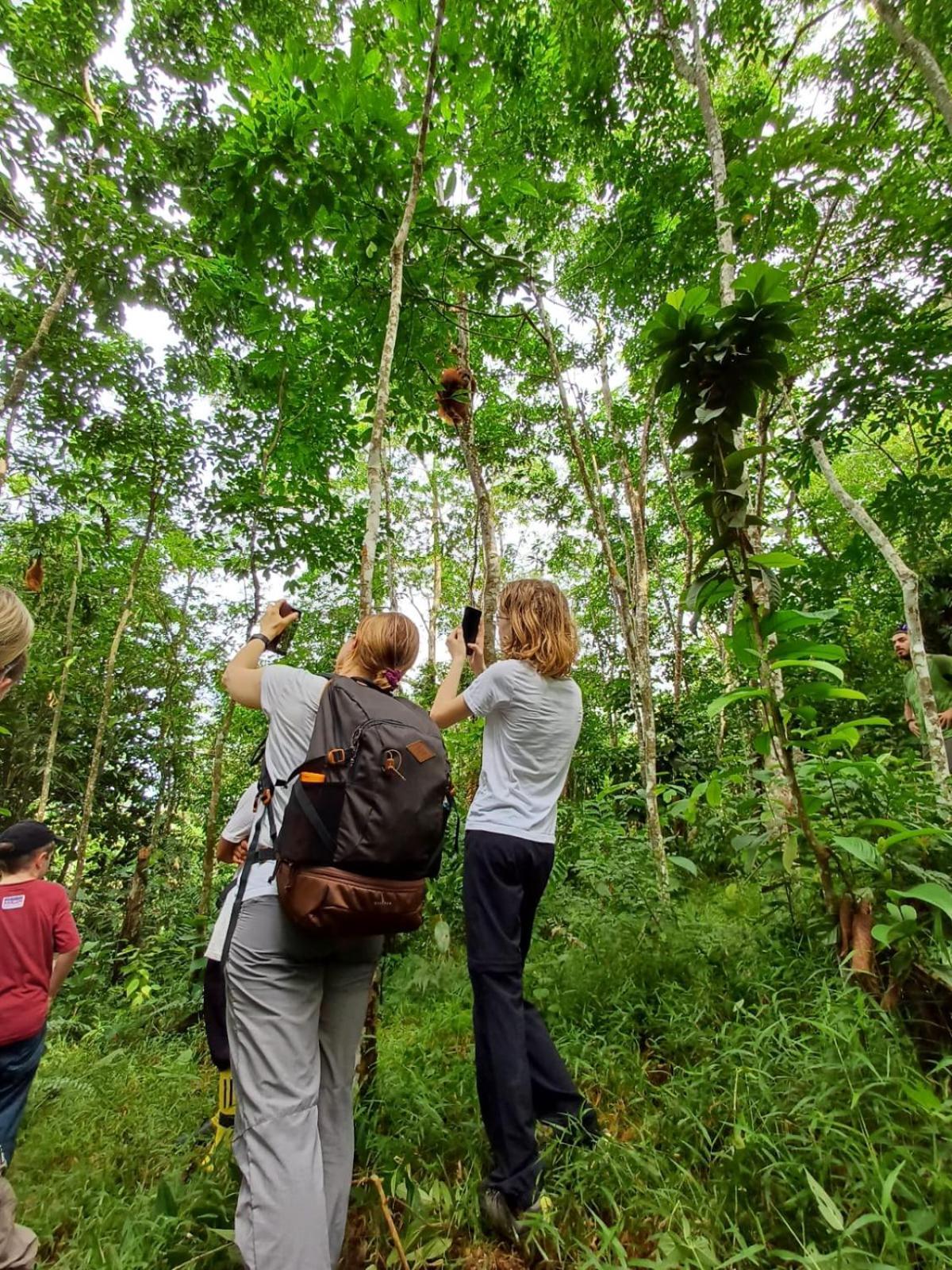 Asim Paris Guesthouse & Jungle Trekking Букит-Лаванг Экстерьер фото