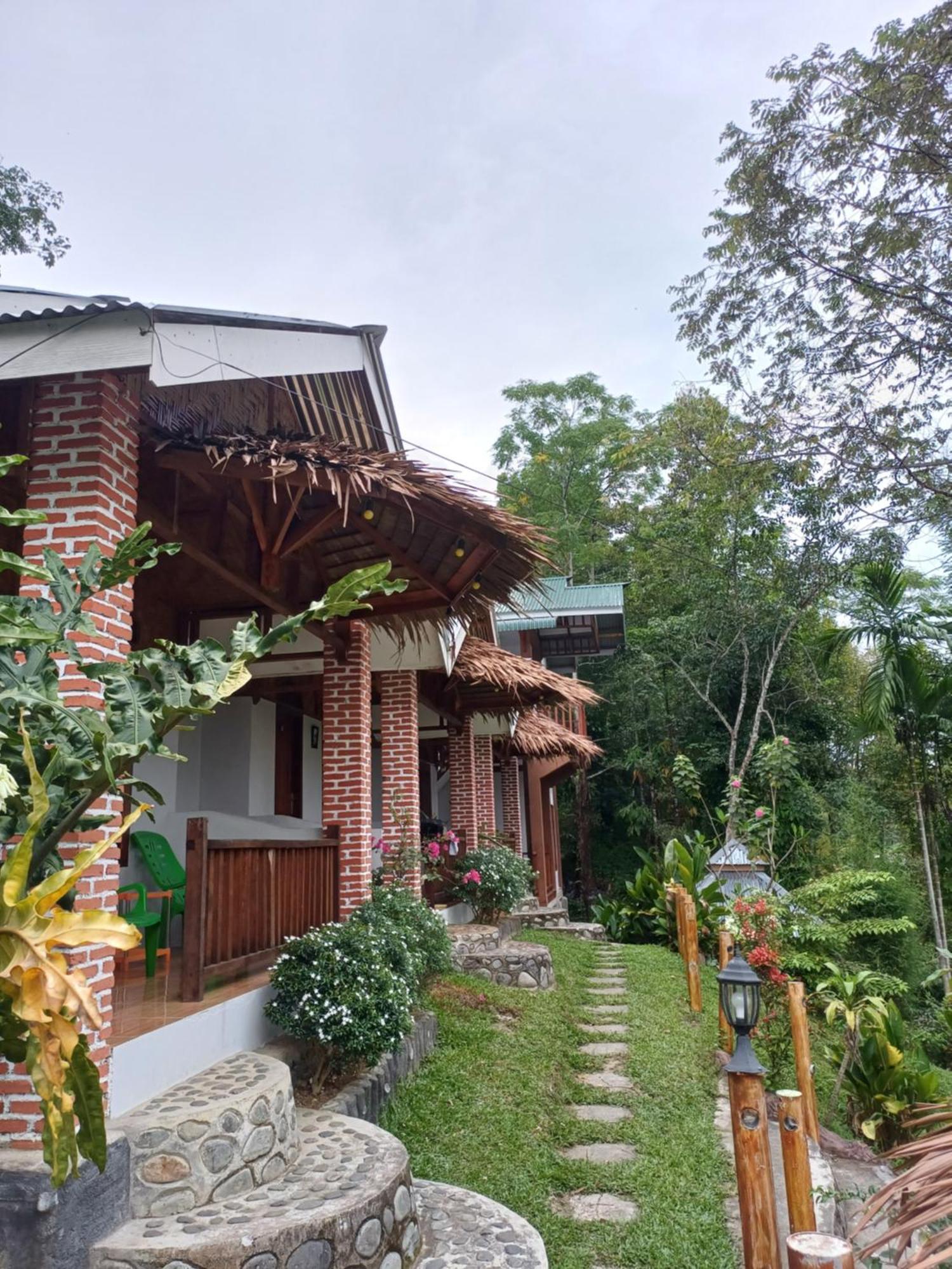 Asim Paris Guesthouse & Jungle Trekking Букит-Лаванг Экстерьер фото