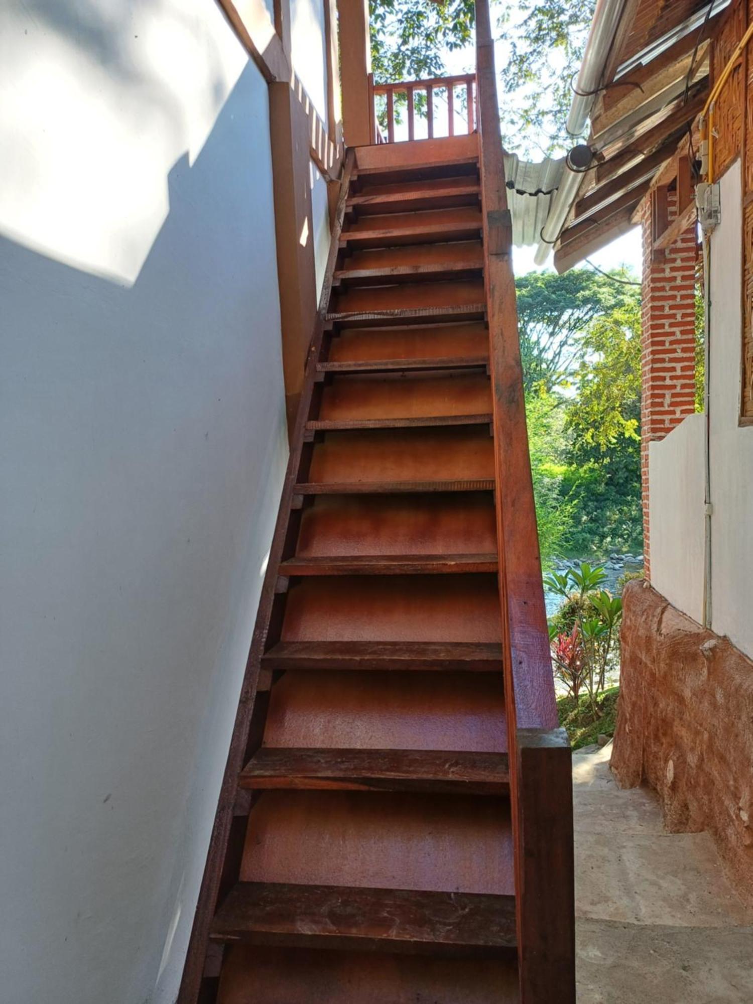 Asim Paris Guesthouse & Jungle Trekking Букит-Лаванг Экстерьер фото