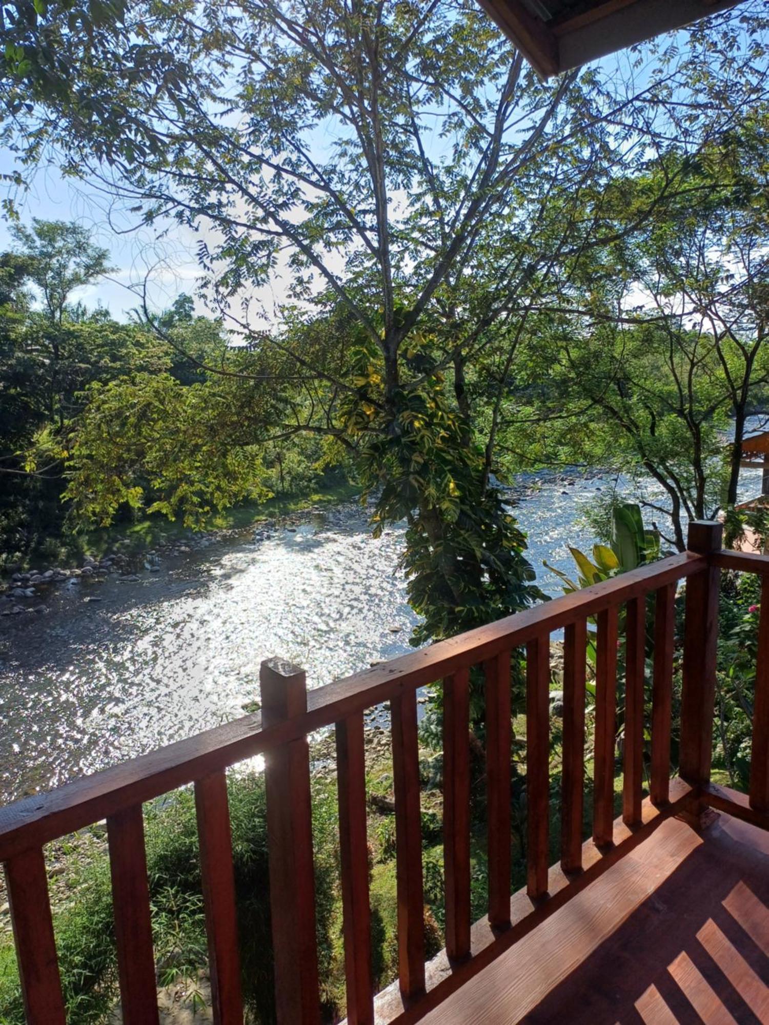 Asim Paris Guesthouse & Jungle Trekking Букит-Лаванг Экстерьер фото