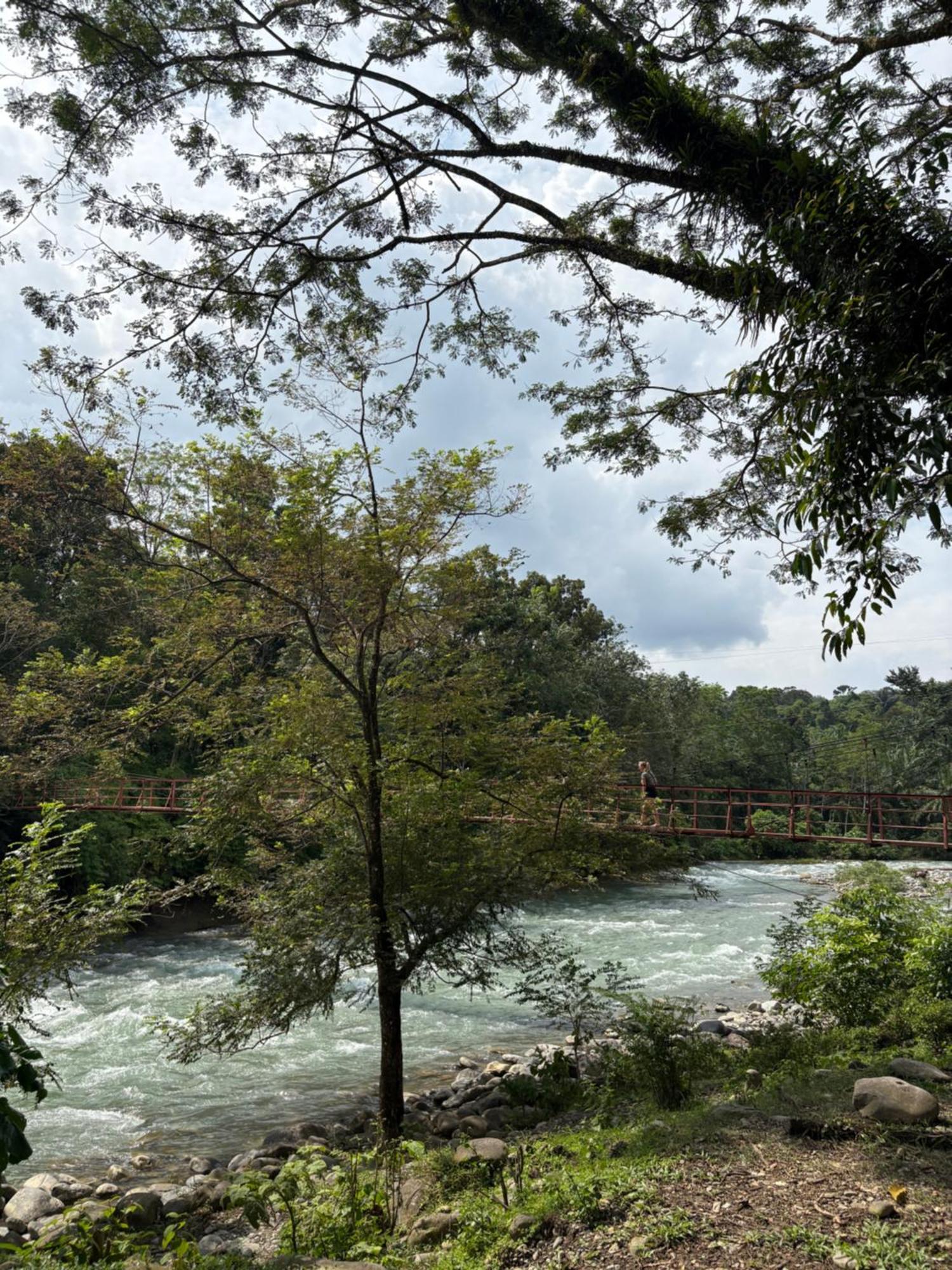 Asim Paris Guesthouse & Jungle Trekking Букит-Лаванг Экстерьер фото