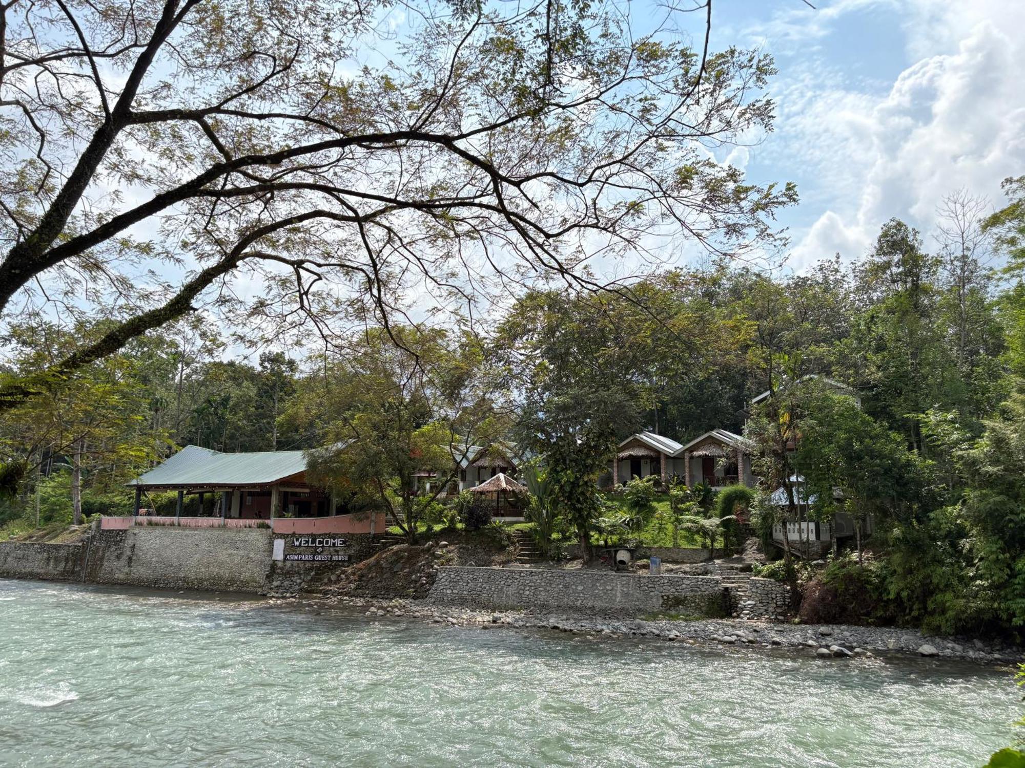 Asim Paris Guesthouse & Jungle Trekking Букит-Лаванг Экстерьер фото