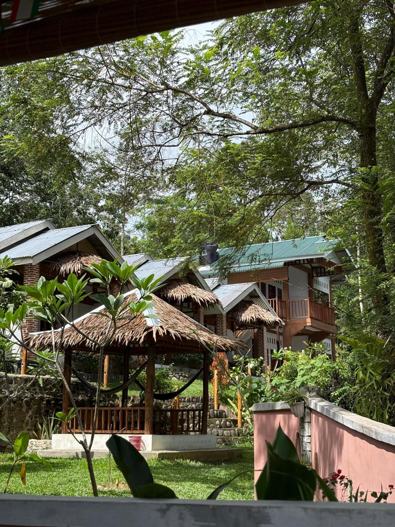 Asim Paris Guesthouse & Jungle Trekking Букит-Лаванг Экстерьер фото